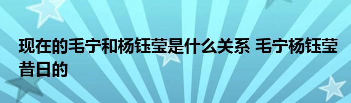 现在的毛宁和杨钰莹是什么关系 毛宁杨钰莹昔日的