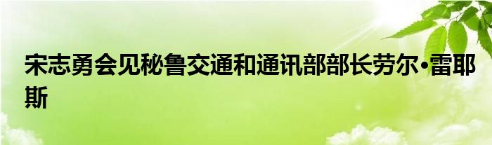 宋志勇会见秘鲁交通和通讯部部长劳尔·雷耶斯