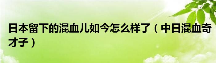 日本留下的混血儿如今怎么样了（中日混血奇才子）