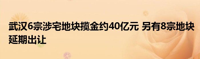 武汉6宗涉宅地块揽金约40亿元 另有8宗地块延期出让