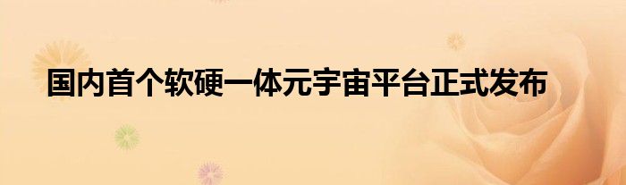 国内首个软硬一体元宇宙平台正式发布