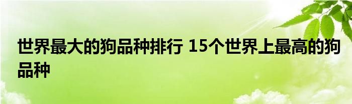 世界最大的狗品种排行 15个世界上最高的狗品种