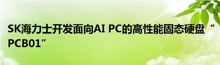 SK海力士开发面向AI PC的高性能固态硬盘“PCB01”