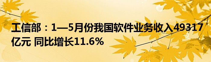 工信部：1—5月份我国软件业务收入49317亿元 同比增长11.6%