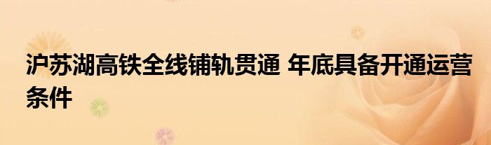 沪苏湖高铁全线铺轨贯通 年底具备开通运营条件