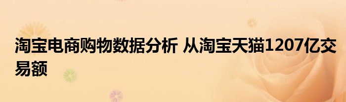 淘宝电商购物数据分析 从淘宝天猫1207亿交易额