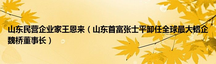 山东民营企业家王恩来（山东首富张士平卸任全球最大铝企魏桥董事长）