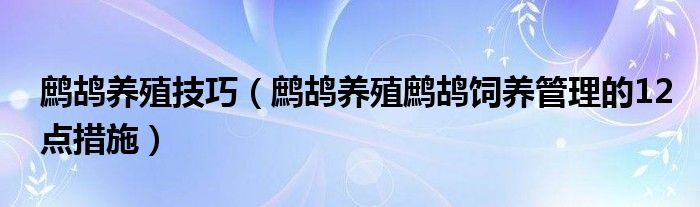 鹧鸪养殖技巧（鹧鸪养殖鹧鸪饲养管理的12点措施）