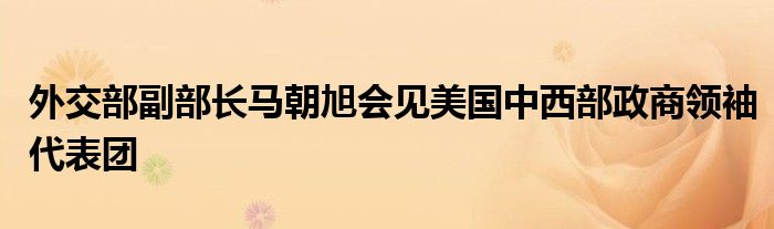 外交部副部长马朝旭会见美国中西部政商领袖代表团