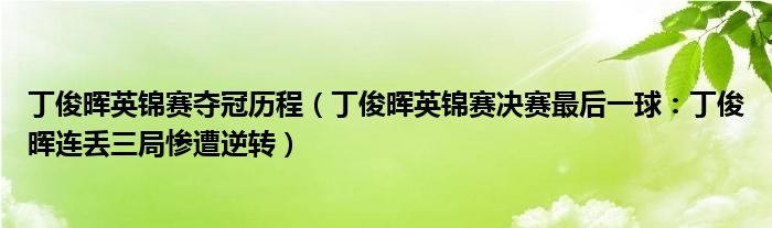 丁俊晖英锦赛夺冠历程（丁俊晖英锦赛决赛最后一球：丁俊晖连丢三局惨遭逆转）