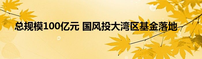 总规模100亿元 国风投大湾区基金落地