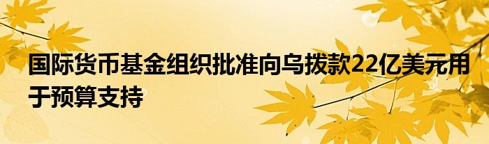 国际货币基金组织批准向乌拨款22亿美元用于预算支持