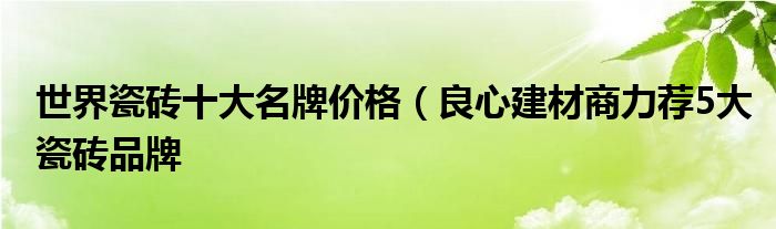 世界瓷砖十大名牌价格（良心建材商力荐5大瓷砖品牌