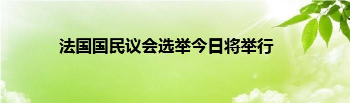 法国国民议会选举今日将举行