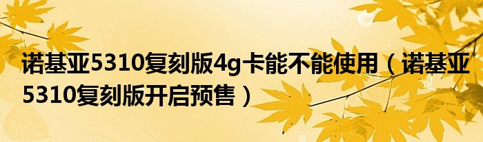 诺基亚5310复刻版4g卡能不能使用（诺基亚5310复刻版开启预售）