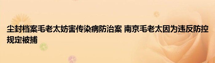 尘封档案毛老太妨害传染病防治案 南京毛老太因为违反防控规定被捕