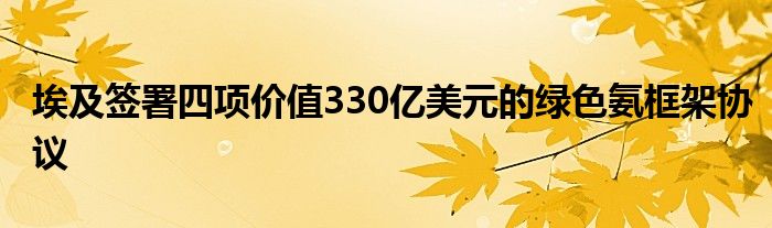 埃及签署四项价值330亿美元的绿色氨框架协议