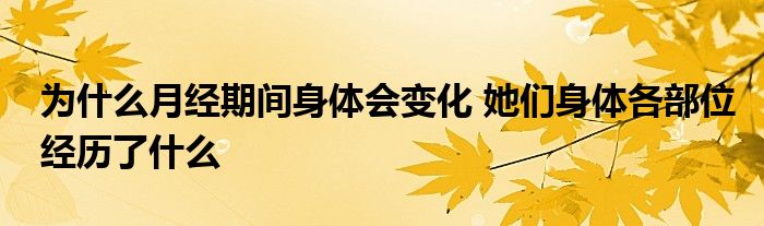 为什么月经期间身体会变化 她们身体各部位经历了什么