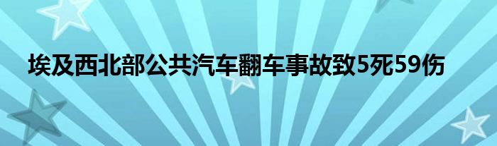 埃及西北部公共汽车翻车事故致5死59伤