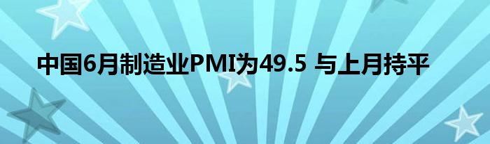 中国6月制造业PMI为49.5 与上月持平