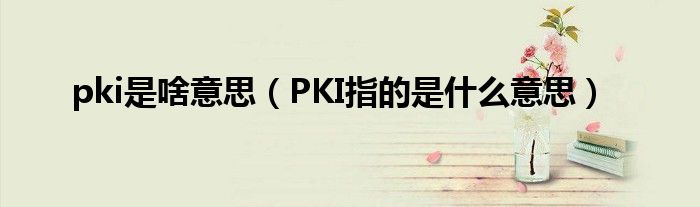 pki是啥意思（PKI指的是什么意思）