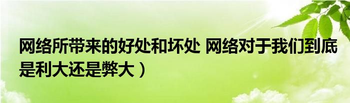 网络所带来的好处和坏处 网络对于我们到底是利大还是弊大）