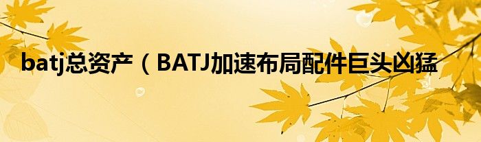 batj总资产（BATJ加速布局配件巨头凶猛