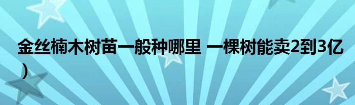 金丝楠木树苗一般种哪里 一棵树能卖2到3亿）