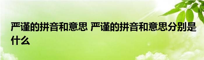 严谨的拼音和意思 严谨的拼音和意思分别是什么