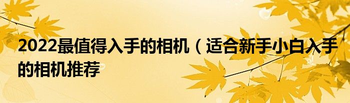 2022最值得入手的相机（适合新手小白入手的相机推荐