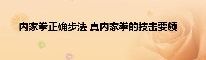 内家拳正确步法 真内家拳的技击要领