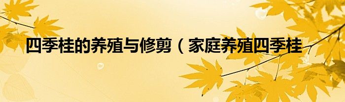 四季桂的养殖与修剪（家庭养殖四季桂