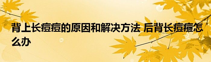 背上长痘痘的原因和解决方法 后背长痘痘怎么办