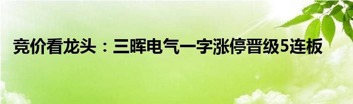 竞价看龙头：三晖电气一字涨停晋级5连板