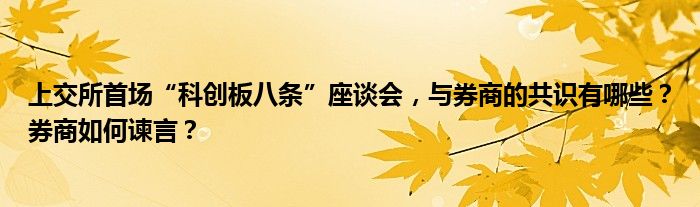 上交所首场“科创板八条”座谈会，与券商的共识有哪些？券商如何谏言？