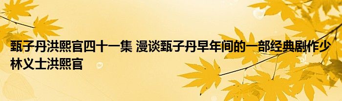 甄子丹洪熙官四十一集 漫谈甄子丹早年间的一部经典剧作少林义士洪熙官