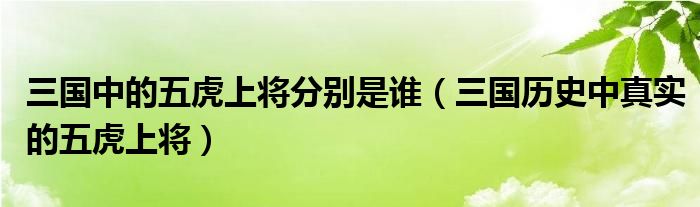 三国中的五虎上将分别是谁（三国历史中真实的五虎上将）