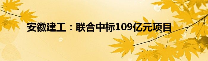 安徽建工：联合中标109亿元项目