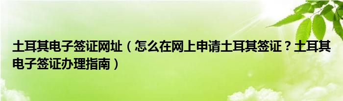 土耳其电子签证网址（怎么在网上申请土耳其签证？土耳其电子签证办理指南）