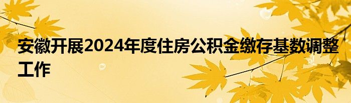 安徽开展2024年度住房公积金缴存基数调整工作