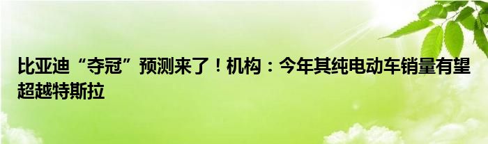 比亚迪“夺冠”预测来了！机构：今年其纯电动车销量有望超越特斯拉