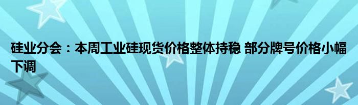 硅业分会：本周工业硅现货价格整体持稳 部分牌号价格小幅下调