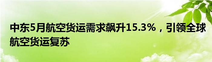 中东5月航空货运需求飙升15.3%，引领全球航空货运复苏