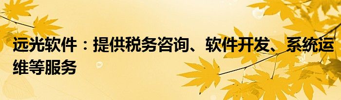 远光软件：提供税务咨询、软件开发、系统运维等服务