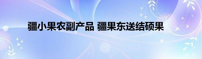 疆小果农副产品 疆果东送结硕果