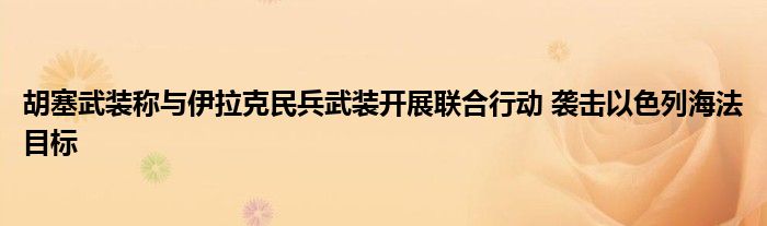 胡塞武装称与伊拉克民兵武装开展联合行动 袭击以色列海法目标