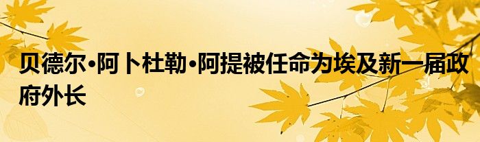 贝德尔·阿卜杜勒·阿提被任命为埃及新一届政府外长