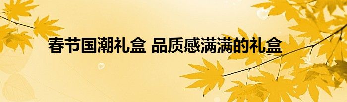 春节国潮礼盒 品质感满满的礼盒