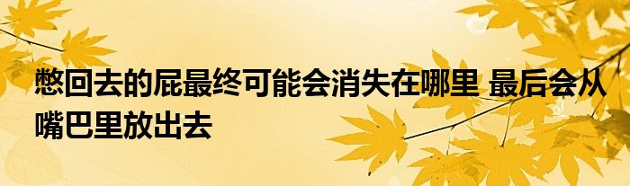 憋回去的屁最终可能会消失在哪里 最后会从嘴巴里放出去