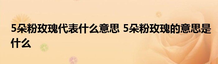 5朵粉玫瑰代表什么意思 5朵粉玫瑰的意思是什么